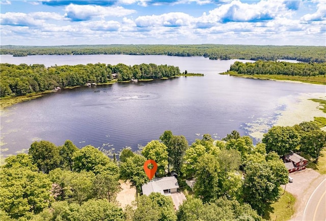 23855 Garden Lake Rd, Cable, WI 54821 - aerial view of a large body of water and a heavily wooded area