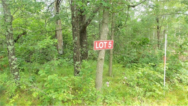 LOT5 Deerfield Rd, Trego WI, 54888 land for sale