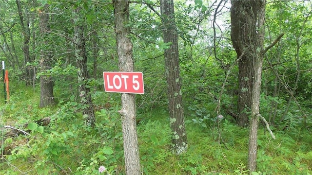 Listing photo 3 for LOT5 Deerfield Rd, Trego WI 54888