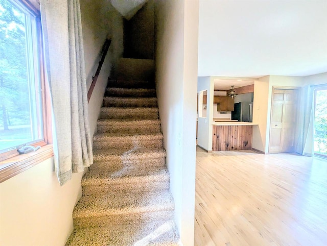 stairway with wood-type flooring