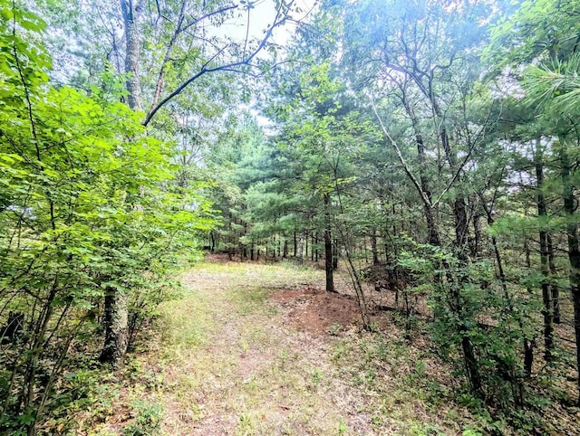 view of local wilderness