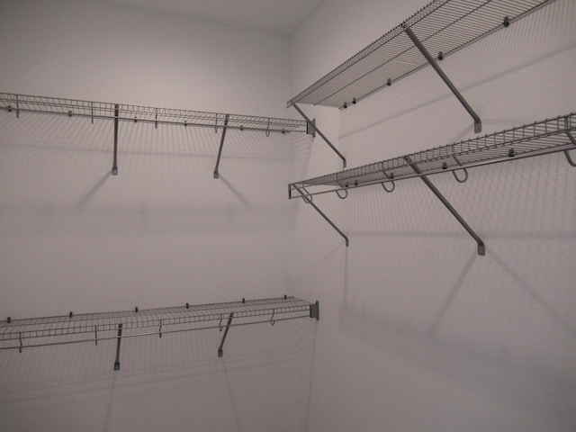1790 Arbor Vista Pl, West Bend, WI 53095 - view of spacious closet