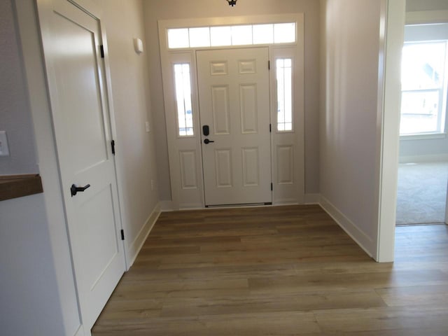 1790 Arbor Vista Pl, West Bend, WI 53095 - foyer featuring wood finished floors and baseboards
