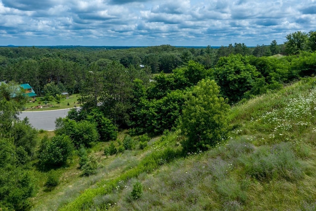 Listing photo 3 for LOT216 Blossom Dr, Warrens, Warrens WI 54666