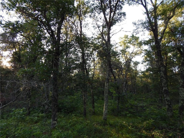 XXX Namekagon, Danbury WI, 54830 land for sale