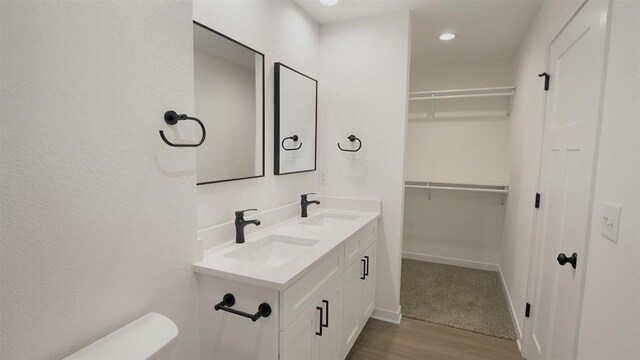 bathroom with hardwood / wood-style flooring and vanity