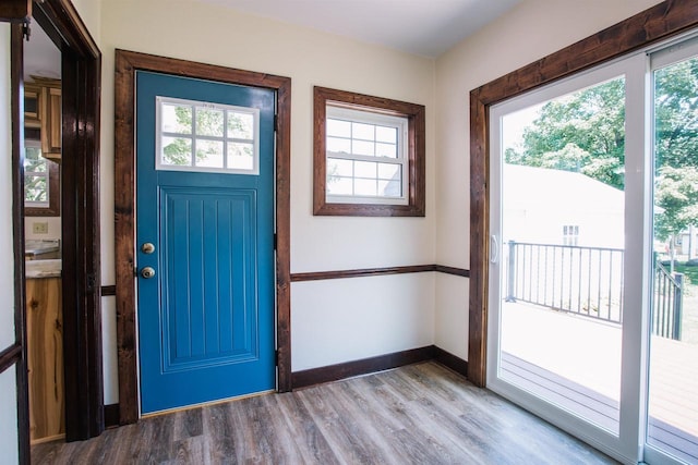 entryway featuring a wealth of natural light and light hardwood / wood-style floors