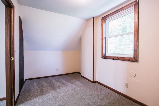 additional living space with carpet floors and vaulted ceiling