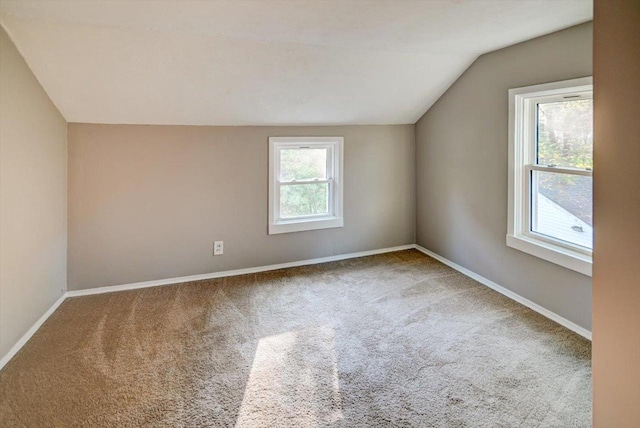 bonus room with carpet floors and lofted ceiling