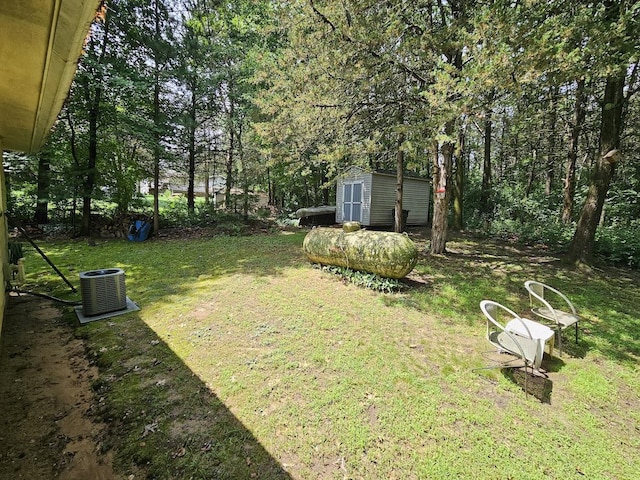 view of yard with a shed