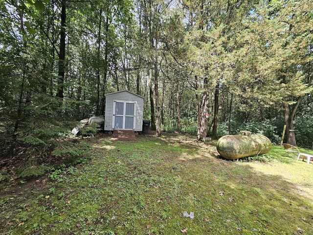 view of yard featuring a storage shed