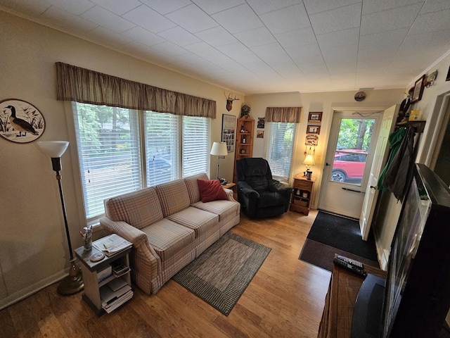 living room with light wood-type flooring