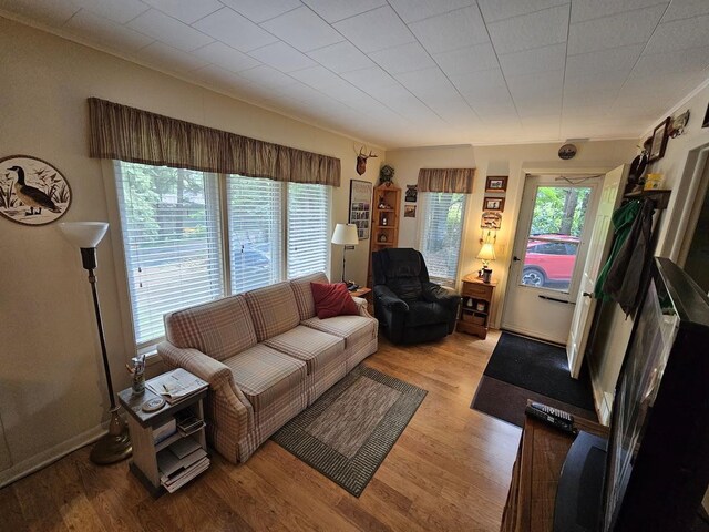 living room featuring light hardwood / wood-style flooring