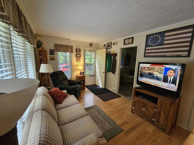 living room with hardwood / wood-style flooring