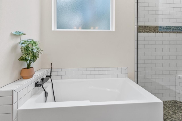 bathroom with a bathing tub