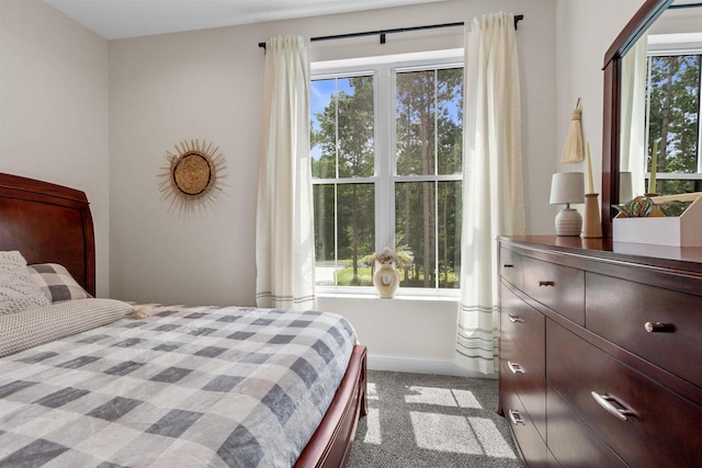 carpeted bedroom with multiple windows