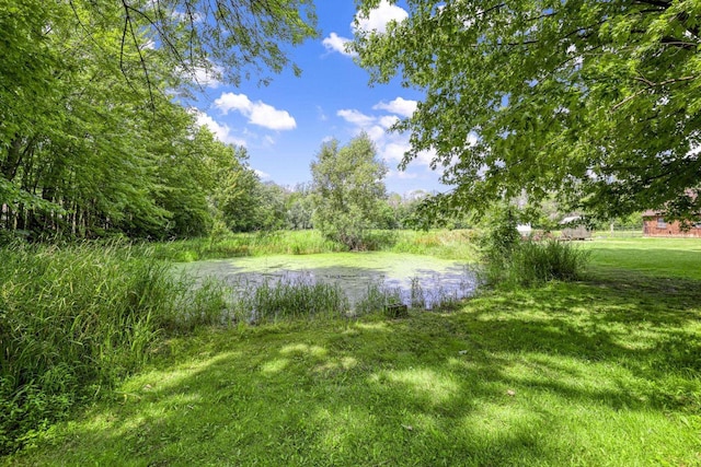 view of yard featuring a water view