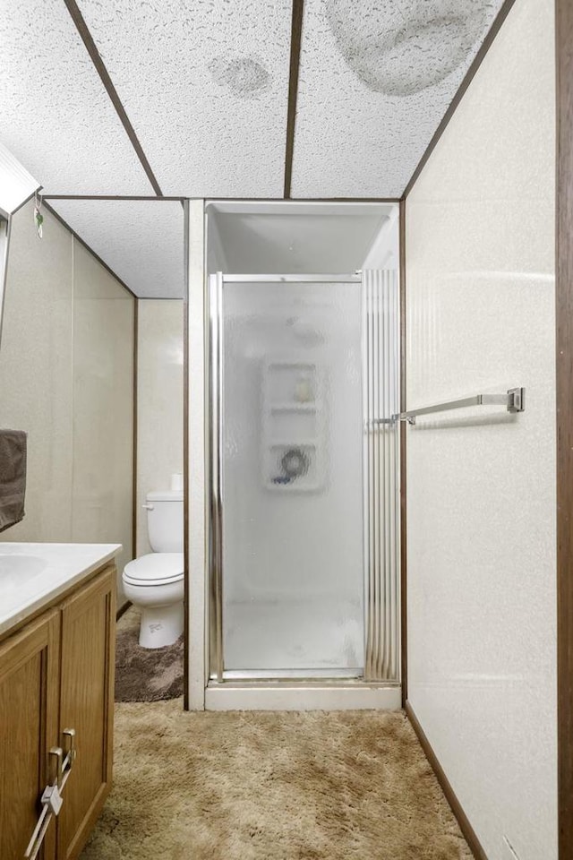 bathroom featuring vanity, a shower with door, and toilet