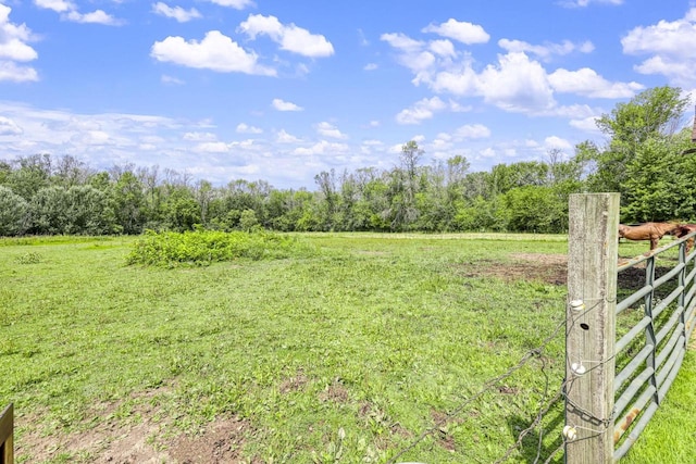 view of yard with a rural view