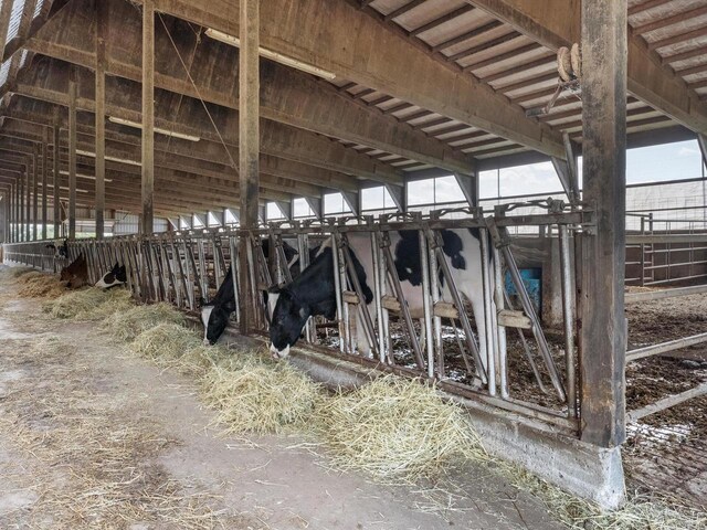W7031 Hickory Ln, Elkhart Lake, WI 53020 - view of horse barn