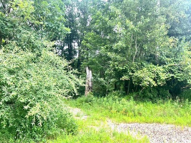 King Rd, Waupaca WI, 54981 land for sale