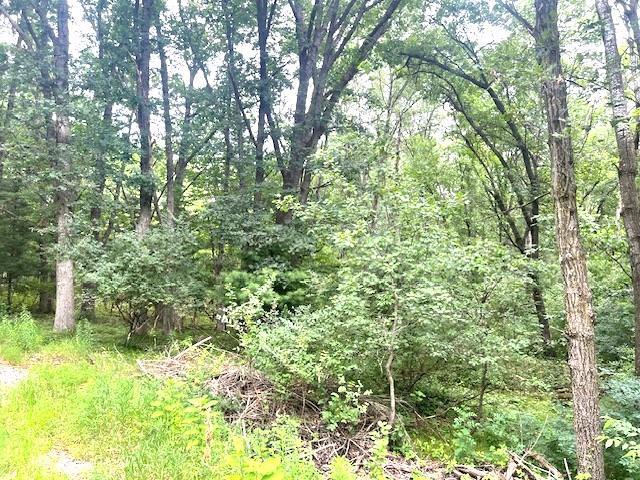 Listing photo 3 for King Rd, Waupaca WI 54981