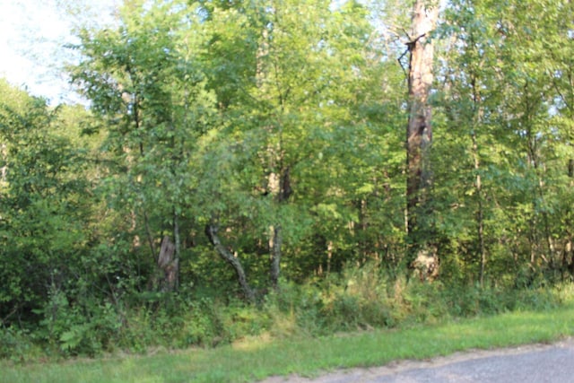 Sikowski Ln, Crivitz WI, 54114 land for sale