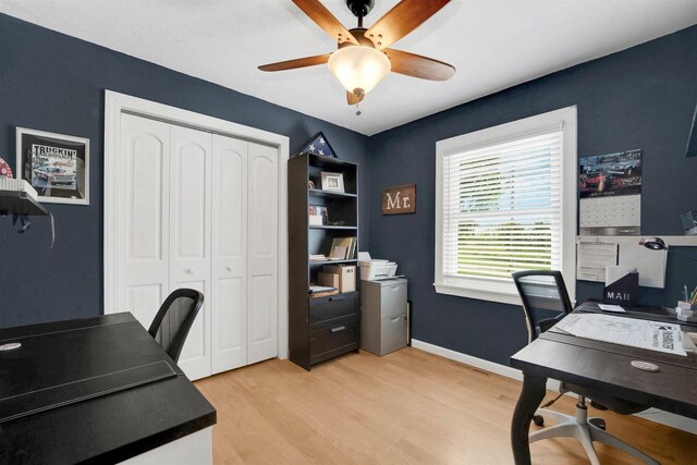 W12203 State Road 23, Ripon, WI 54971 - home office featuring light hardwood / wood-style floors and ceiling fan