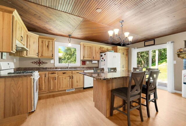 W12203 State Road 23, Ripon, WI 54971 - kitchen featuring a chandelier, pendant lighting, light wood-type flooring, and white appliances