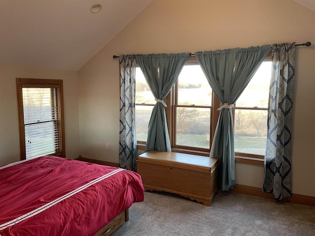 carpeted bedroom with multiple windows and vaulted ceiling