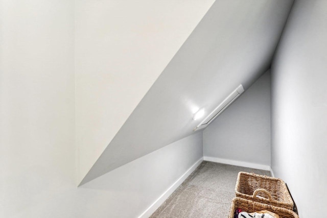 details with baseboards and carpet flooring