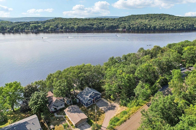 birds eye view of property featuring a water view and a view of trees