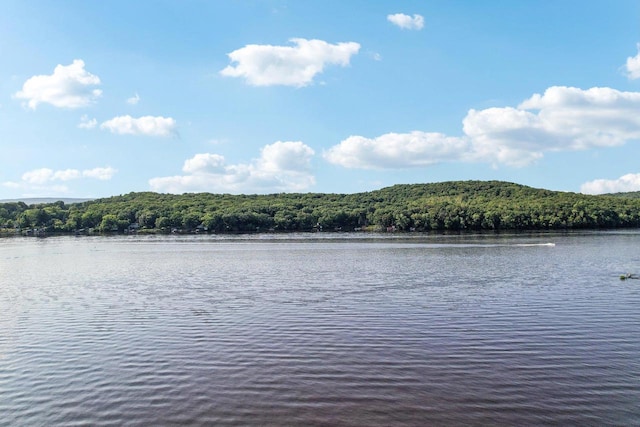 water view featuring a wooded view