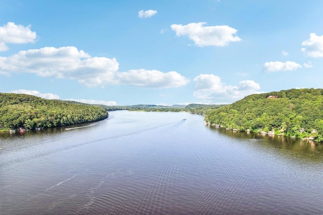 property view of water with a wooded view