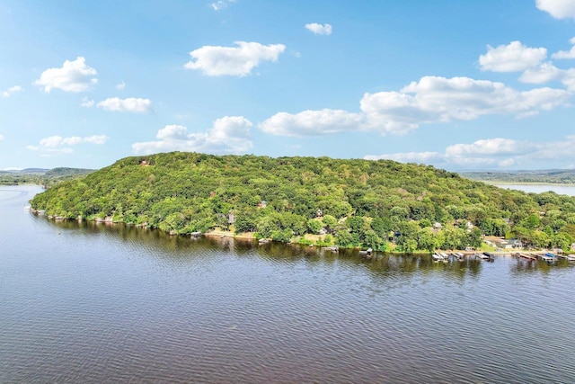 water view featuring a forest view