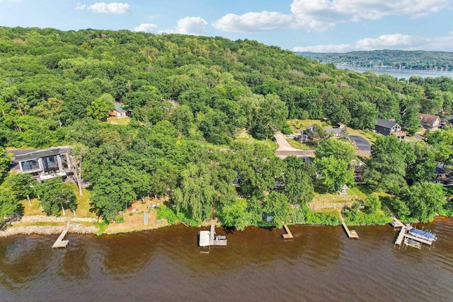 bird's eye view with a water view and a view of trees