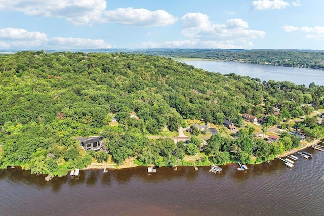 drone / aerial view with a water view and a wooded view