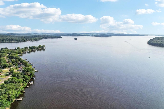 property view of water