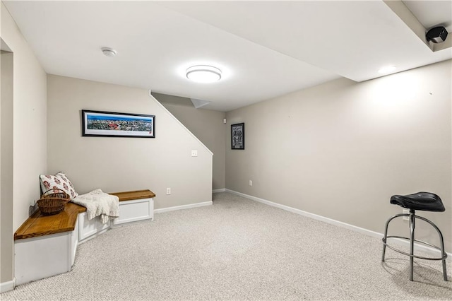 living area featuring light colored carpet