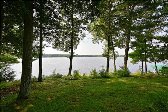 view of water feature