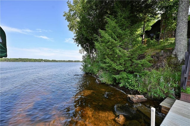 property view of water