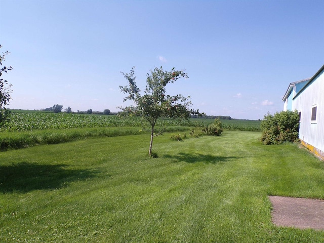 view of yard featuring a rural view