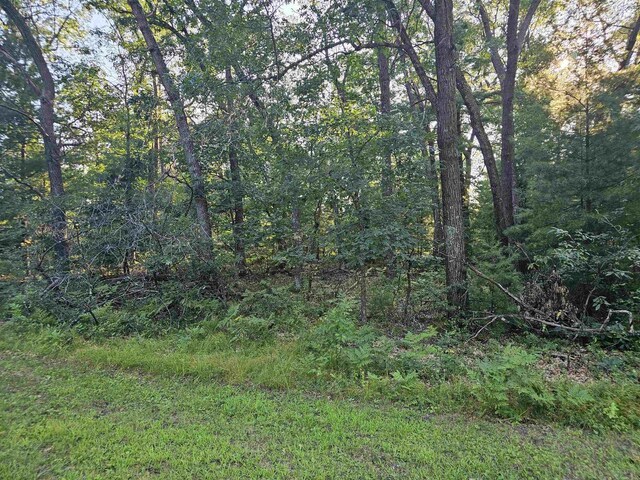 LT13 13th Ave, Friendship WI, 53934 land for sale