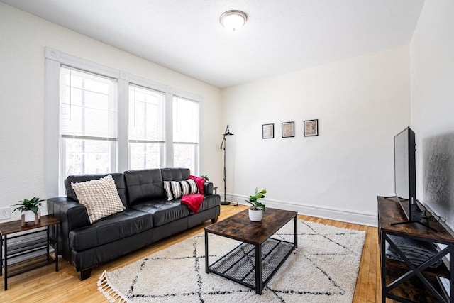 living room featuring hardwood / wood-style flooring