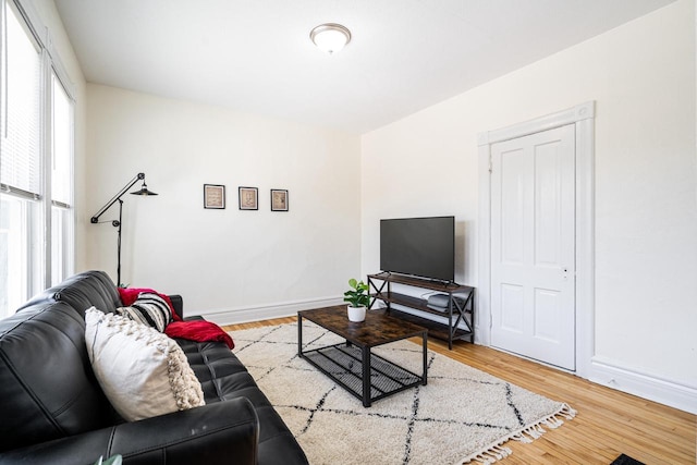 living room with hardwood / wood-style floors