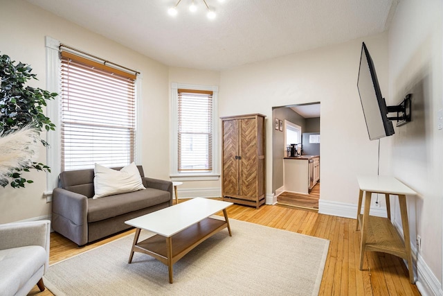 living room with light hardwood / wood-style floors