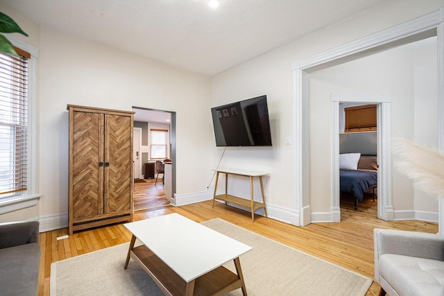 living room featuring hardwood / wood-style floors