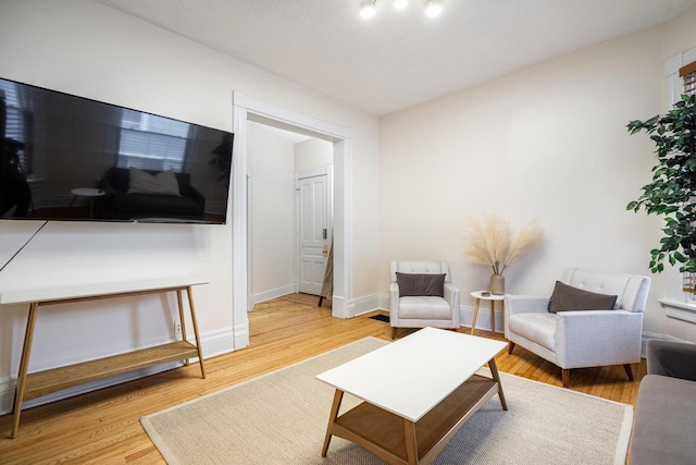 living room with hardwood / wood-style flooring