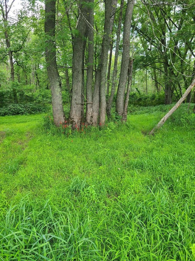 view of nature