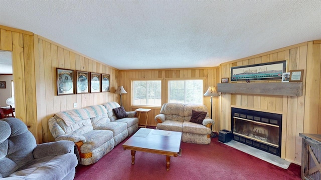 20649 Julia Rd, Clifton, WI 54618 - carpeted living room with a fireplace, a textured ceiling, and wood walls